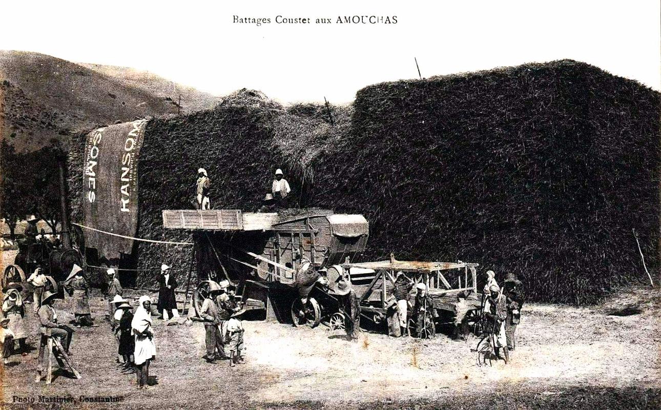 1923- Amouchas - Pres de Setif - Battages Couster.jpg